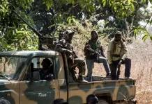 Lutte contre l’économie criminelle: quatre soldats meurent en Casamance
