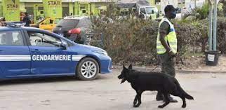 GENDARMR