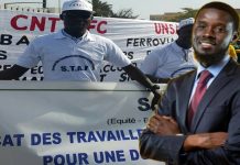 Présidentielle 2024: Bassirou Diomaye FAYE félicité par ses collègues du STAF de la DGID