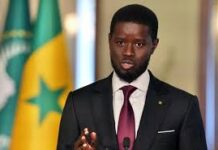 Journée mondiale de l’Environnement: Voici les attentes du président Diomaye Faye