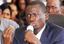 Arnaque: Serigne Mboup grugé par son livreur qui a emporté ses 13 télés