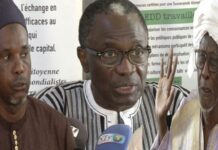 Spoliations Foncières dans le Monde Rural : Les collectifs de lutte contre l’accaparement des terres invitent le nouveau régime à étendre les audits et les enquêtes foncières au-delà de Dakar