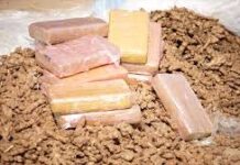 Urgent: Nouvelle saisie de cocaïne à l’AIBD