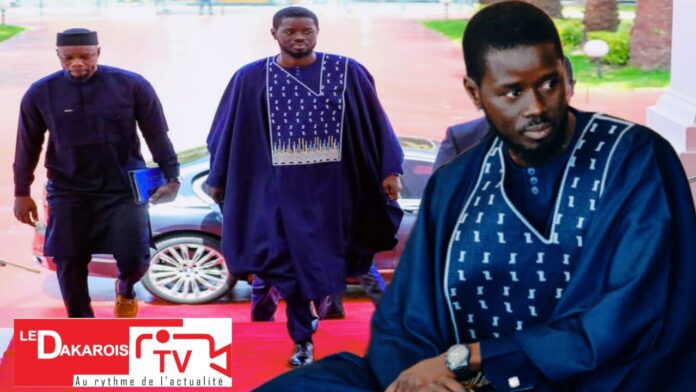 WhatsApp Image 2024-07-13 at 19.09.13 (1)