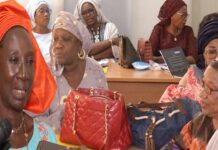INSERTION MASSIVE DES FEMMES DANS LES INSTANCES DE DÉCISION: LE RÉSEAU SIGGIL JIGEEN RENFORCE LES CAPACITÉS DES AGENTS DE LA MAIRIE DE DERKLÉ, SICAP MERMOZ ET GRAND-DAKAR