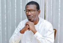 ÉLECTIONS LÉGISLATIVES: le Professeur Mary Teuw NIANE renouvelle son soutien au président Diomaye