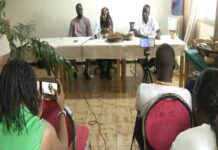 Identification des arbres, enseignement de leurs importances dans la société: l’initiatrice Sylv Saki présente son concept « Les Botanistes du dimanche »