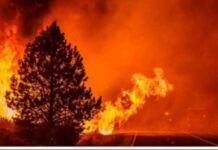 Marché Guedj de Kaolack : Un incendie ravage Plusieurs dizaines de cantines