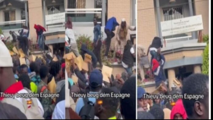 WhatsApp Image 2025-01-28 at 11.10.06 (1)