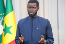 Journée nationale de l’Élevage: Bassirou Diomaye Faye attendu à Kaolack