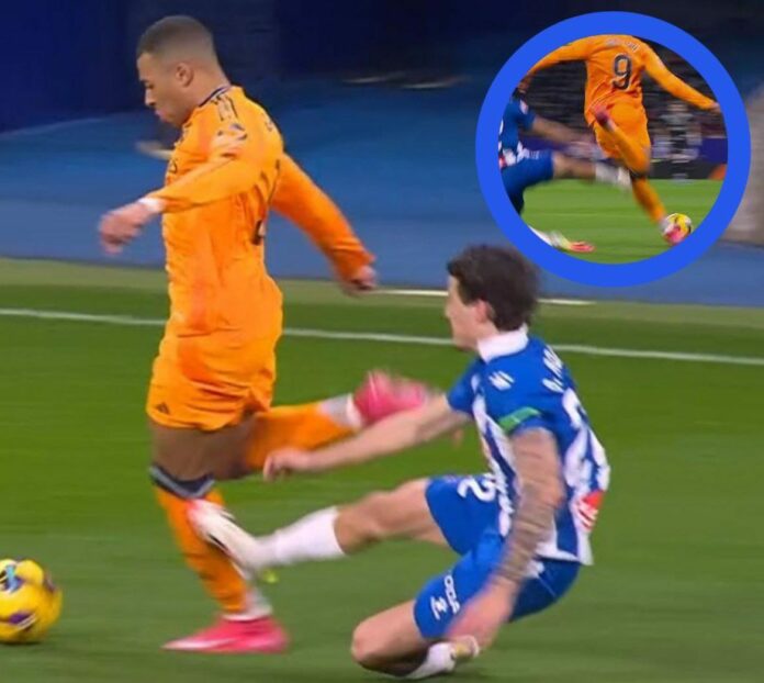 WhatsApp Image 2025-02-02 at 12.34.49