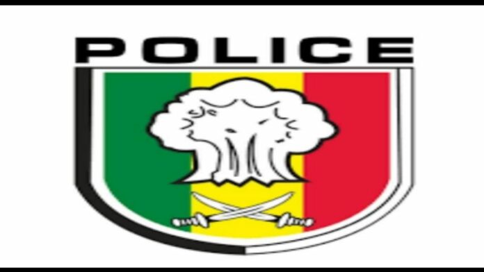 WhatsApp Image 2025-02-10 at 11.41.52