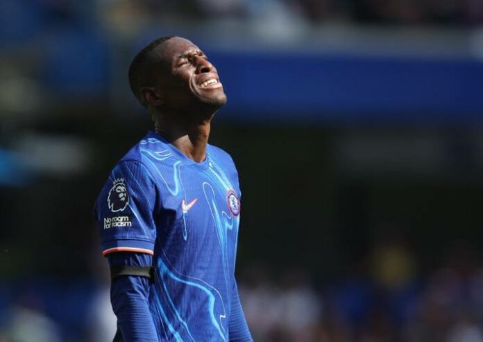 WhatsApp Image 2025-02-13 at 11.30.36