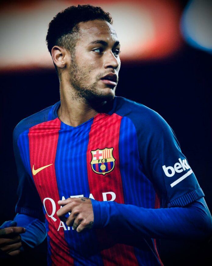 WhatsApp Image 2025-02-15 at 14.14.05