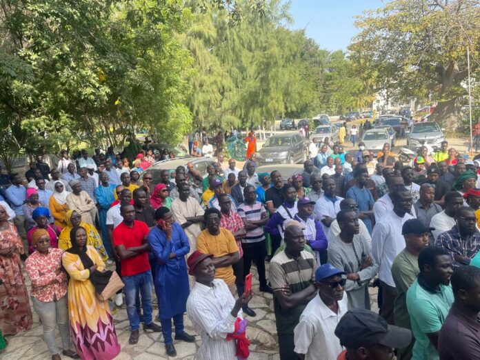 WhatsApp Image 2025-03-19 at 16.38.19