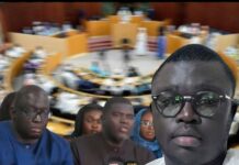 L’abrogation de la loi d’amnistie : Une malbouffe chez Pastef