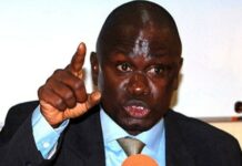 Seydi Gassama: « l’adoption de la loi interprétative est une étape vers la justice et une réparation pour les violations des droits humains »