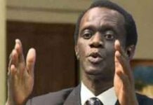 Prestation de Mia Guissé au Tucheze Festival (Somone): Mame Mactar Guèye dénonce ce qu’il qualifie de «pornographie verbale»