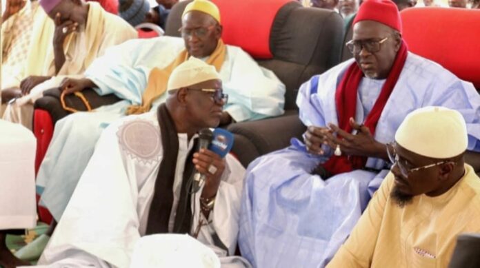 WhatsApp Image 2025-04-18 at 17.21.14