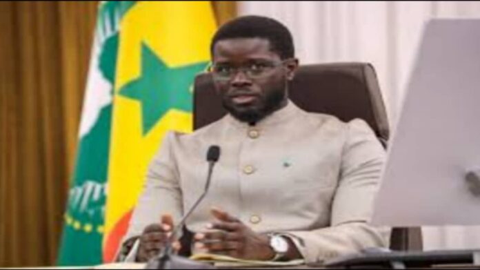 WhatsApp Image 2025-04-21 at 14.17.34