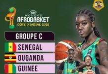 Afrobasket Féminin 2025 : Les lionnes dans une Poule abordable