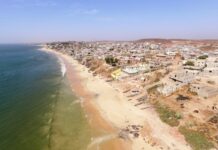 YENE : Le lac Todd, un joyau écologique sacrifié pour des logements