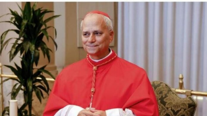 WhatsApp Image 2025-05-08 at 19.50.58