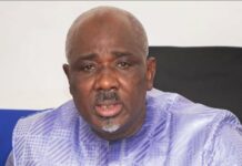 Pool judiciaire financier: Deux frères de Farba Ngom placés sous bracelet électronique