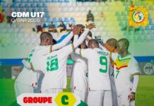 Coupe du monde U-17 : Le Sénégal connaît ses adversaires de Poule