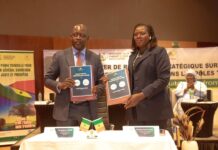 REPORTAGE – PUMA : Les zones frontalières au cœur du développement territorial