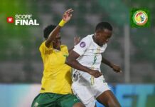 CAN féminine 2025 : les lionnes ne seront pas présentes en demi-finale !