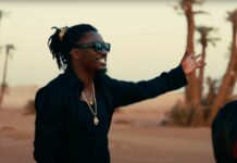 ARTISTES SÉNÉGALAIS LES PLUS STREAMÉS: Wally B. Seck s’impose en tête du classement Billboard et présente son nouveau single « Mon combat »