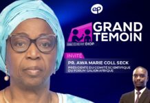 Fièvre de la Vallée du Rift et MPOX : Pr Awa Marie Coll Seck Prône une Gestion au Plus Haut Niveau