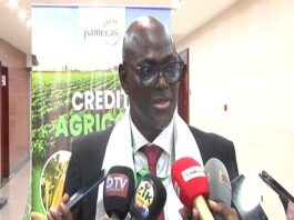 Développement économique : PAMECAS contribue à hauteur de 118 milliards Fcfa de financements