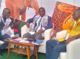 Première Édition ECOFEST : l’ ambassadeur de la Côte d’Ivoire a visité les exposants et artistes ivoiriens accompagné d’une forte délégation