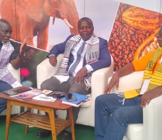 Première Édition ECOFEST : l’ ambassadeur de la Côte d’Ivoire a visité les exposants et artistes ivoiriens accompagné d’une forte délégation