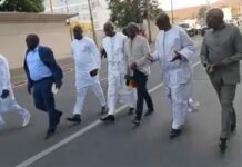 Sénégal Champion d’Afrique, le FDR répond à l’invitation du chef de l’État à la cérémonie de réception officielle des lions