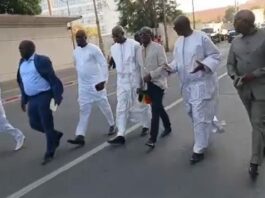 Sénégal Champion d’Afrique, le FDR répond à l’invitation du chef de l’État à la cérémonie de réception officielle des lions