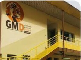 Grands Moulins de Dakar: les precisions de tailles du Collège des délégués du personnel