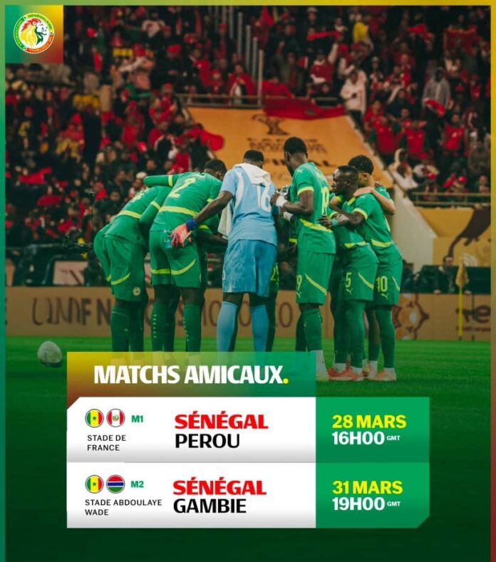 WhatsApp Image 2026-02-18 at 14.18.14