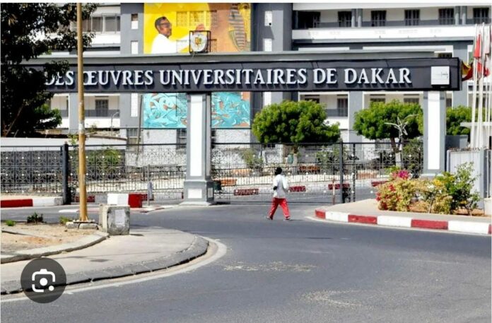 WhatsApp Image 2026-02-22 at 16.21.18