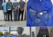 LUTTE CONTRE LA CRIMINALITÉ: Une bande armée démantelée à Kédougou