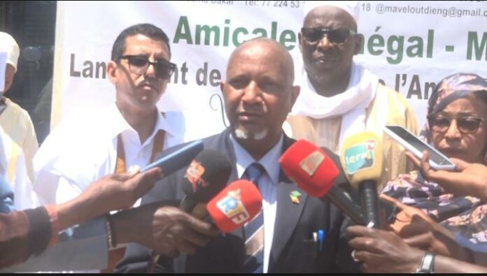 WhatsApp Image 2026-03-28 at 19.22.48