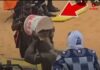 Utilisation de chatons dans le cadre de pratiques à caractère mystique à l’arène nationale: La direction des Parcs nationaux condamne et avertit