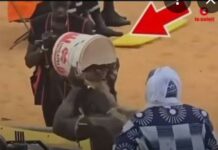 Utilisation de chatons dans le cadre de pratiques à caractère mystique à l’arène nationale: La direction des Parcs nationaux condamne et avertit